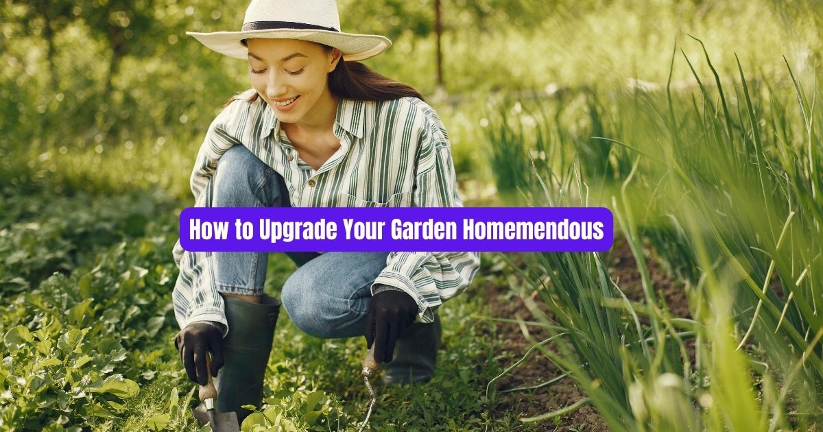 How to Upgrade Your Garden Homemendous